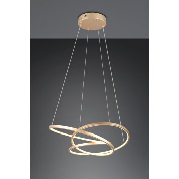 Illuminazione Trio Leuchten Darvin Lampada a sospensione LED Oro, 1-Luce