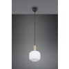 Illuminazione Trio Leuchten Diva Lampada a sospensione Ottone, 1-Luce