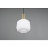 Illuminazione Trio Leuchten Diva Lampada a sospensione Ottone, 1-Luce