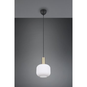 Illuminazione Trio Leuchten Diva Lampada a sospensione Ottone, 1-Luce