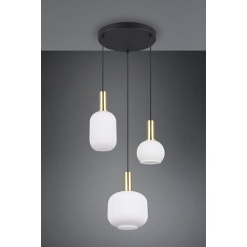 Illuminazione Trio Leuchten Diva Lampada a sospensione Ottone, 3-Luci