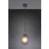 Illuminazione Trio Leuchten Facette Lampada a sospensione Nero, 1-Luce