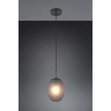 Illuminazione Trio Leuchten Facette Lampada a sospensione Nero, 1-Luce