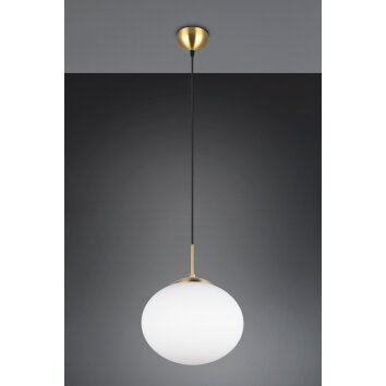 Illuminazione Trio Leuchten Fomento Lampada a sospensione Ottone, 1-Luce