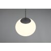 Illuminazione Trio Leuchten Fomento Lampada a sospensione Nero, 1-Luce