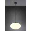 Illuminazione Trio Leuchten Fomento Lampada a sospensione Nero, 1-Luce