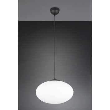 Illuminazione Trio Leuchten Fomento Lampada a sospensione Nero, 1-Luce