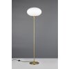 Illuminazione Trio Leuchten Fomento Lampada da terra Ottone, 1-Luce