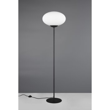 Illuminazione Trio Leuchten Fomento Lampada da terra Nero, 1-Luce