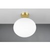 Illuminazione Trio Leuchten Fomento Plafoniera Ottone, 1-Luce