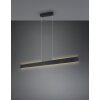 Illuminazione Trio Leuchten Galway Lampada a sospensione LED Nero, 1-Luce