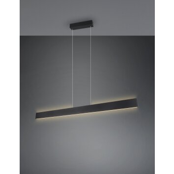 Illuminazione Trio Leuchten Galway Lampada a sospensione LED Nero, 1-Luce