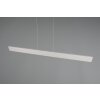 Illuminazione Trio Leuchten Galway Lampada a sospensione LED Grigio, 1-Luce