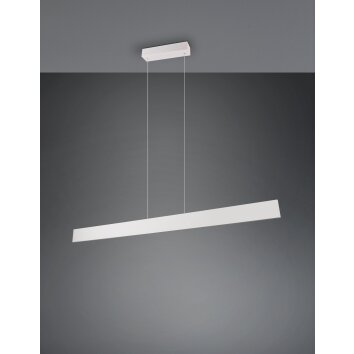 Illuminazione Trio Leuchten Galway Lampada a sospensione LED Grigio, 1-Luce