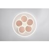 Illuminazione Trio Leuchten Mandala Plafoniera LED Grigio, 1-Luce, Telecomando