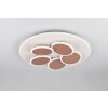 Illuminazione Trio Leuchten Mandala Plafoniera LED Grigio, 1-Luce, Telecomando