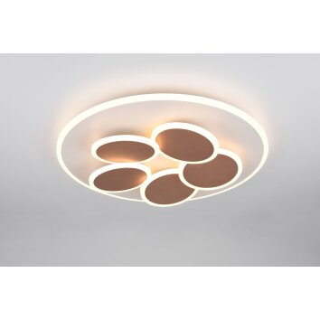 Illuminazione Trio Leuchten Mandala Plafoniera LED Grigio, 1-Luce, Telecomando