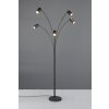 Illuminazione Trio Leuchten Marley Lampada da terra Nero, 5-Luci