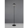 Illuminazione Reality Mendorez Lampada da terra LED Nero, 1-Luce