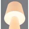 Illuminazione Trio Leuchten Nubian Lampada da tavolo Beige, 1-Luce