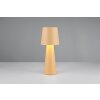 Illuminazione Trio Leuchten Nubian Lampada da tavolo Beige, 1-Luce