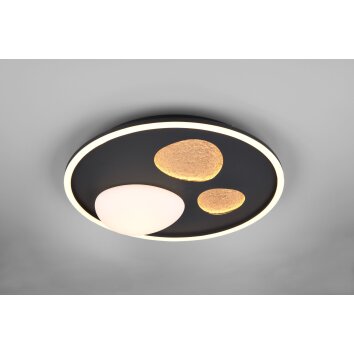 Illuminazione Trio Leuchten Pebble Plafoniera LED Nero, 1-Luce, Telecomando