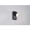 Illuminazione Trio Leuchten Raglan Applique LED Nero, 1-Luce