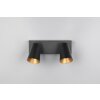 Illuminazione Trio Leuchten Sharp Faretto da soffitto Nero, 2-Luci