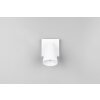 Illuminazione Trio Leuchten Sharp Faretto da soffitto Bianco, 1-Luce