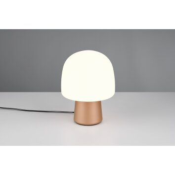 Lampada a forma di fungo  Illuminazione Trio Leuchten Steen Lampada da tavolo Marrone, 1-Luce