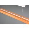 Illuminazione Trio Leuchten Trajan Lampada a sospensione LED Bianco, 1-Luce