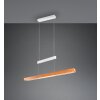 Illuminazione Trio Leuchten Trajan Lampada a sospensione LED Bianco, 1-Luce