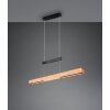 Illuminazione Trio Leuchten Trajan Lampada a sospensione LED Nero, 1-Luce