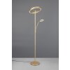 Illuminazione Trio Leuchten Willis Lampada da terra LED Oro, 2-Luci