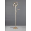 Illuminazione Trio Leuchten Willis Lampada da terra LED Oro, 2-Luci