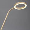 Illuminazione Trio Leuchten Willis Lampada da terra LED Oro, 2-Luci