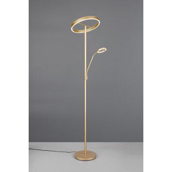 Illuminazione Trio Leuchten Willis Lampada da terra LED Oro, 2-Luci