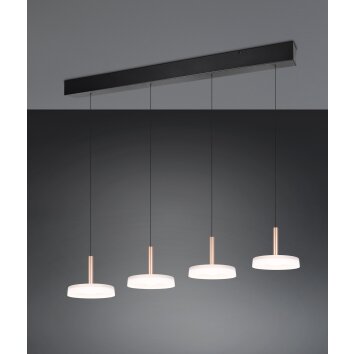 Illuminazione Trio Leuchten Celeste Lampada a sospensione LED Marrone, 1-Luce