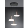 Illuminazione Trio Leuchten Celeste Lampada a sospensione LED Marrone, 1-Luce