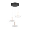 Illuminazione Trio Leuchten Celeste Lampada a sospensione LED Marrone, 1-Luce