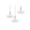 Illuminazione Trio Leuchten Celeste Lampada a sospensione LED Marrone, 1-Luce