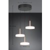 Illuminazione Trio Leuchten Celeste Lampada a sospensione LED Marrone, 1-Luce