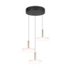 Illuminazione Trio Leuchten Celeste Lampada a sospensione LED Marrone, 1-Luce