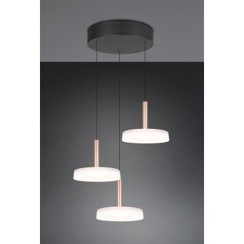 Illuminazione Trio Leuchten Celeste Lampada a sospensione LED Marrone, 1-Luce