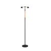 Illuminazione Trio Leuchten Celeste Lampada da terra LED Marrone, 1-Luce