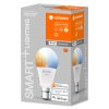 Illuminazione Ledvance B22d 9 Watt CCT (Regolabile) dimmerabile 806 Lumen