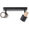 Illuminazione Brilliant Pini Faretto da soffitto Nero, 2-Luci