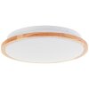 Illuminazione Brilliant Bario Plafoniera LED Bianco, 1-Luce