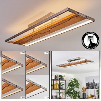 Terre Plafoniera, Faretto da soffitto LED Écru, Nichel opaco, 1-Luce