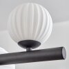 Chehalis Lampadario a sospensione, Lampada a sfera, Lampada a sospensione Bianco, 10-Luci